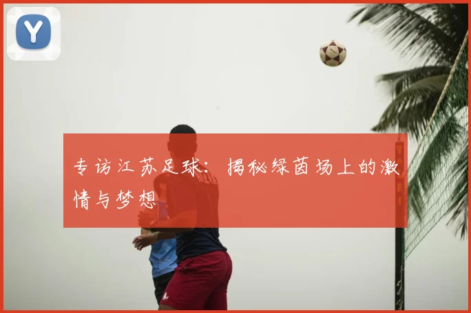 专访江苏足球：揭秘绿茵场上的激情与梦想