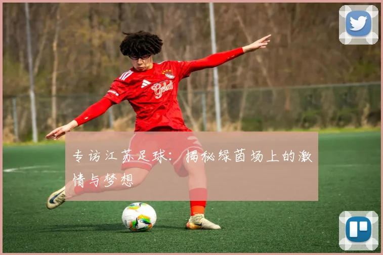 专访江苏足球:揭秘绿茵场上的激情与梦想