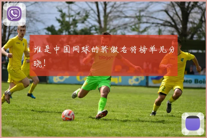 谁是中国网球的骄傲名将榜单见分晓！