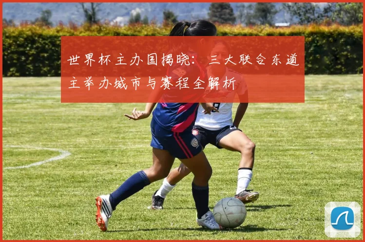 世界杯主办国揭晓：三大联合东道主举办城市与赛程全解析